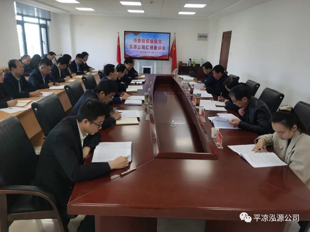市委辦公室、市政府國資委督查泓源公司工作(圖4)